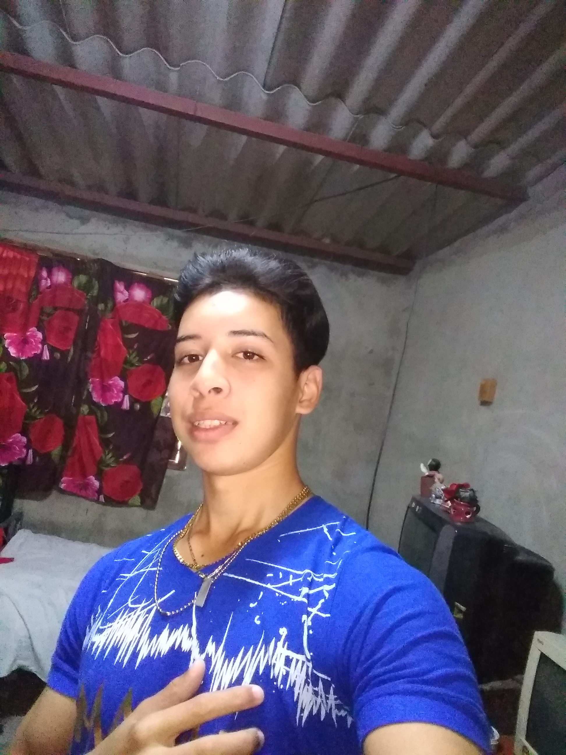 Diseño web profesional